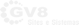 logo gv8